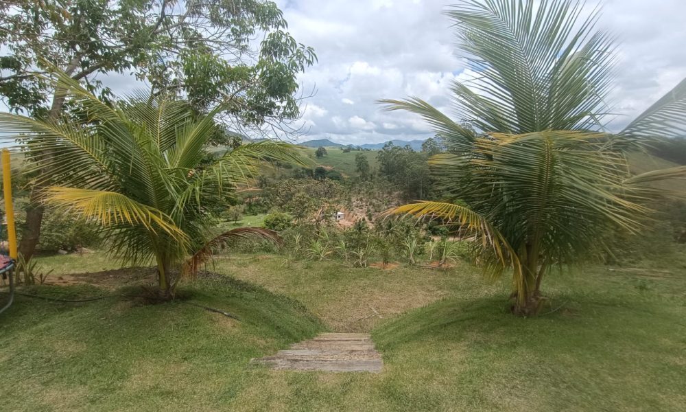 WhatsApp Image 2025-12-11 at 15.30.05